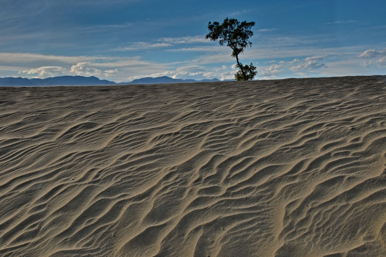 Wind Scalped Sands Waves